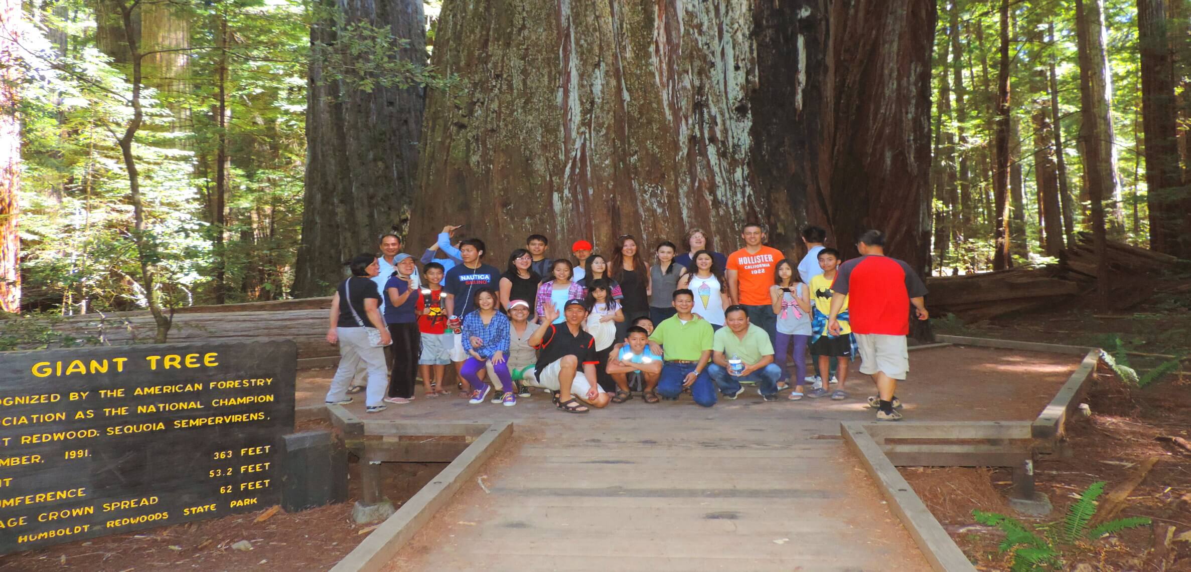 Redwood-National-and State -Parks -U-S-National-Park-Service